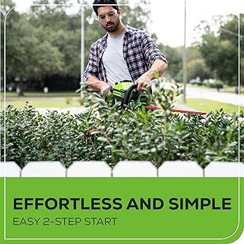 Amazon.com: Greenworks 60V 26